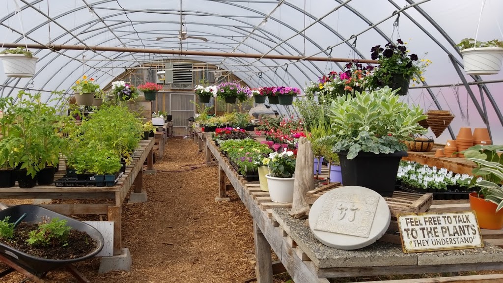 Halfmoon Bay Nursery | 7820 Fawn Rd, Halfmoon Bay, BC V0N 1Y1, Canada | Phone: (604) 885-2760