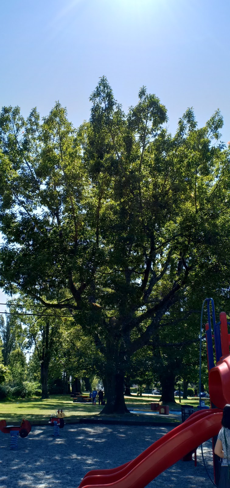 Burkville Park | 1060, Catalina Crescent, Richmond, BC V7B 1E1, Canada