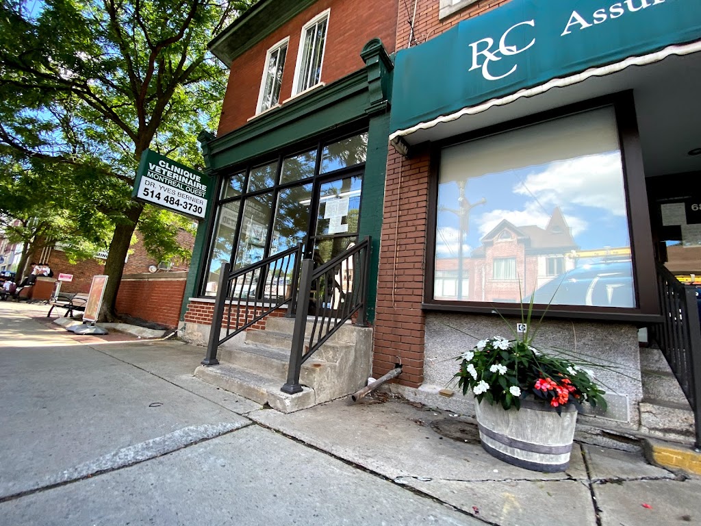 Clinique Vétérinaire Montréal-Ouest | 66 Avenue Westminster N, Montréal-Ouest, QC H4X 1Z2, Canada | Phone: (514) 484-3730