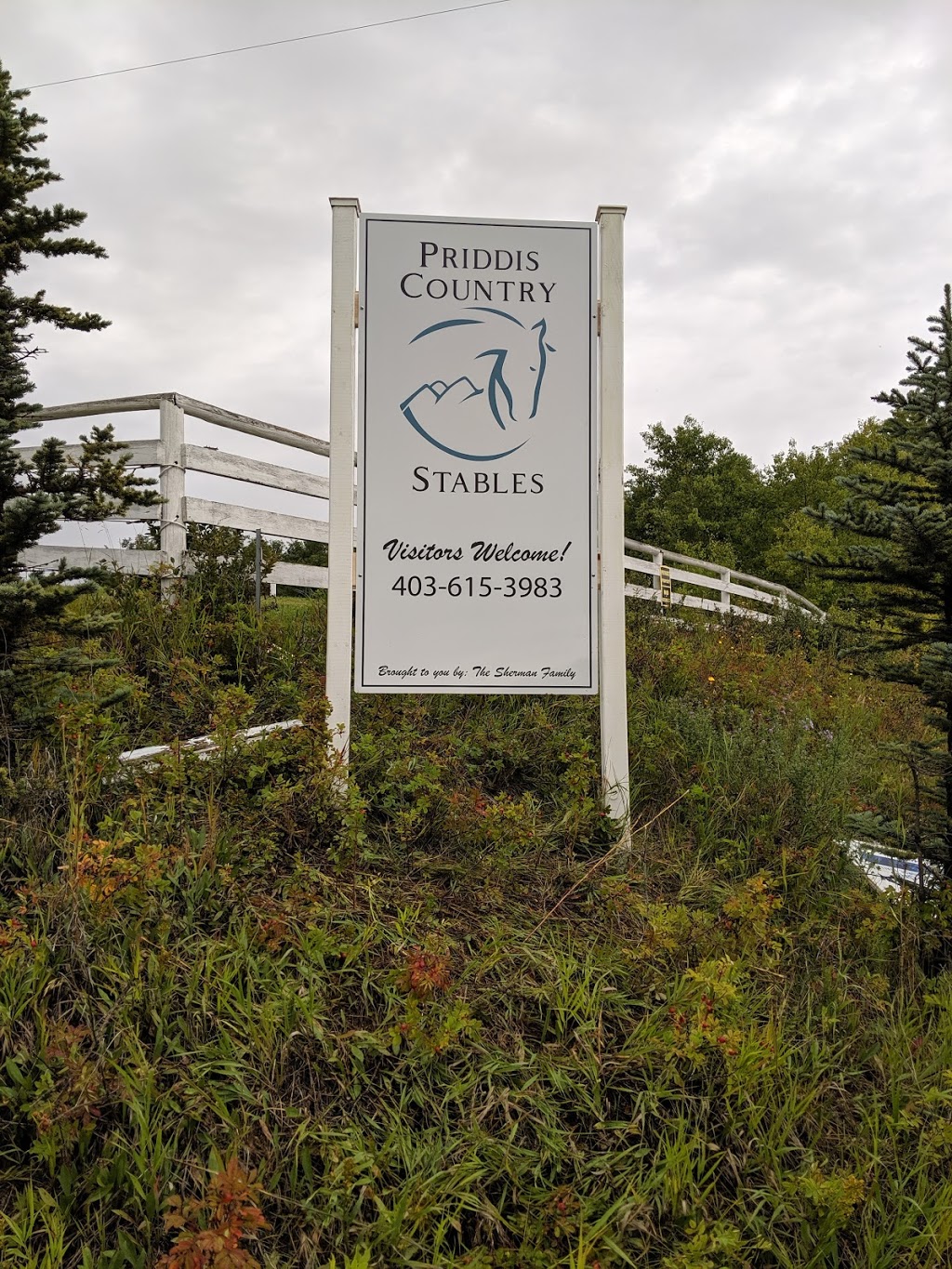 Digital Post | 250 Shawville Blvd SE #132, Calgary, AB T2Y 2Z7, Canada | Phone: (403) 201-1101