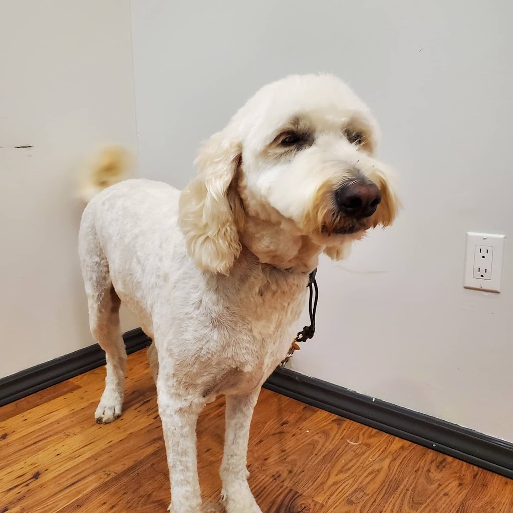 Highland Dog Grooming | 28 York St, Haliburton, ON K0M 1S0, Canada | Phone: (705) 457-3335