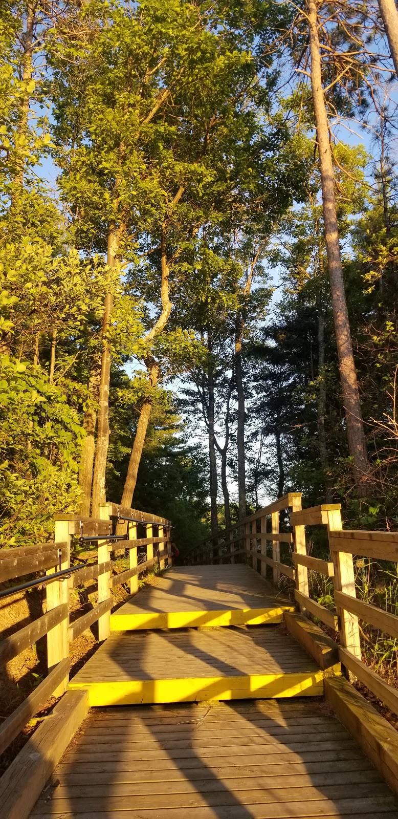Bluewater Dunes | 2T0, 64 Nicole Blvd, Tiny, ON L0L 2T0, Canada