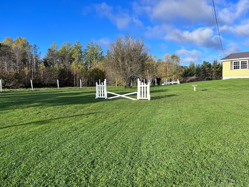 CorLie Equine Adventures and Events | 250 Route 715, Coles Island, NB E4C 2T4, Canada | Phone: (506) 512-1216
