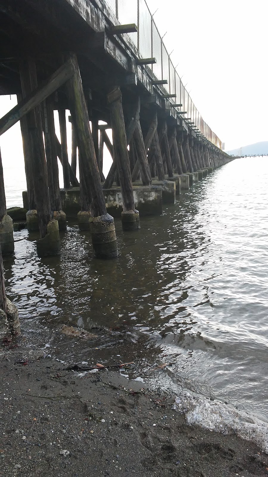 Little Squalicum Park | 640 Marine Dr, Bellingham, WA 98225, USA | Phone: (360) 778-8000