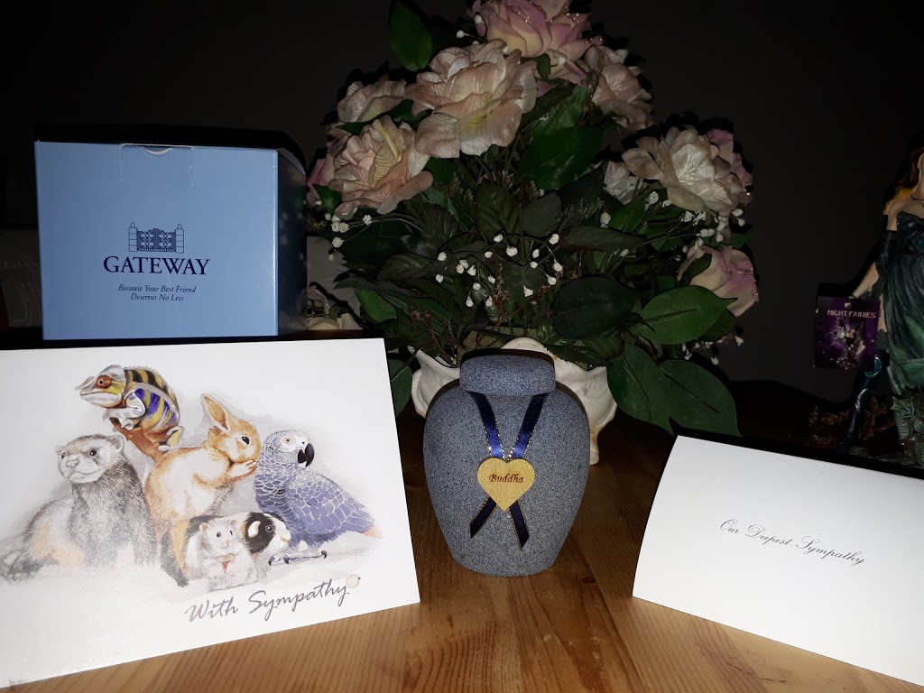 Bramalea Animal Hospital | 3-125 Chrysler Dr, Brampton, ON L6S 6L1, Canada | Phone: (905) 792-2200