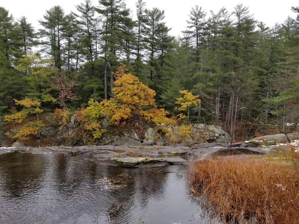 Teopoli | 1458 Houseys Rapids Rd, Gravenhurst, ON P1P 1R3, Canada | Phone: (705) 687-4488
