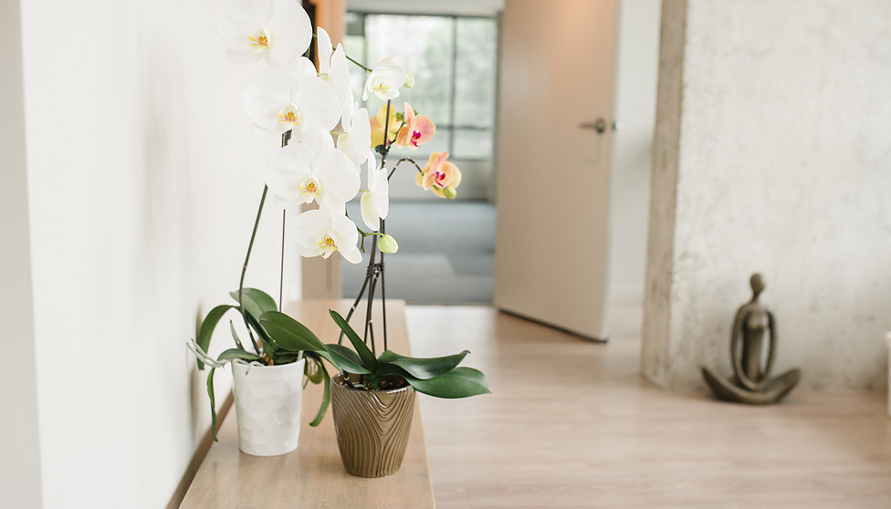 ALIVE Humber Bay | 2240 Lake Shore Blvd W #229, Etobicoke, ON M8V 0B1, Canada | Phone: (647) 926-3948