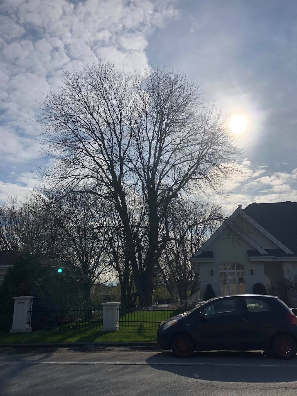 Samuel Girouard Arboriculteur-élagueur | 16325 Av. Roy, Saint-Hyacinthe, QC J2T 4G6, Canada | Phone: (450) 501-8205