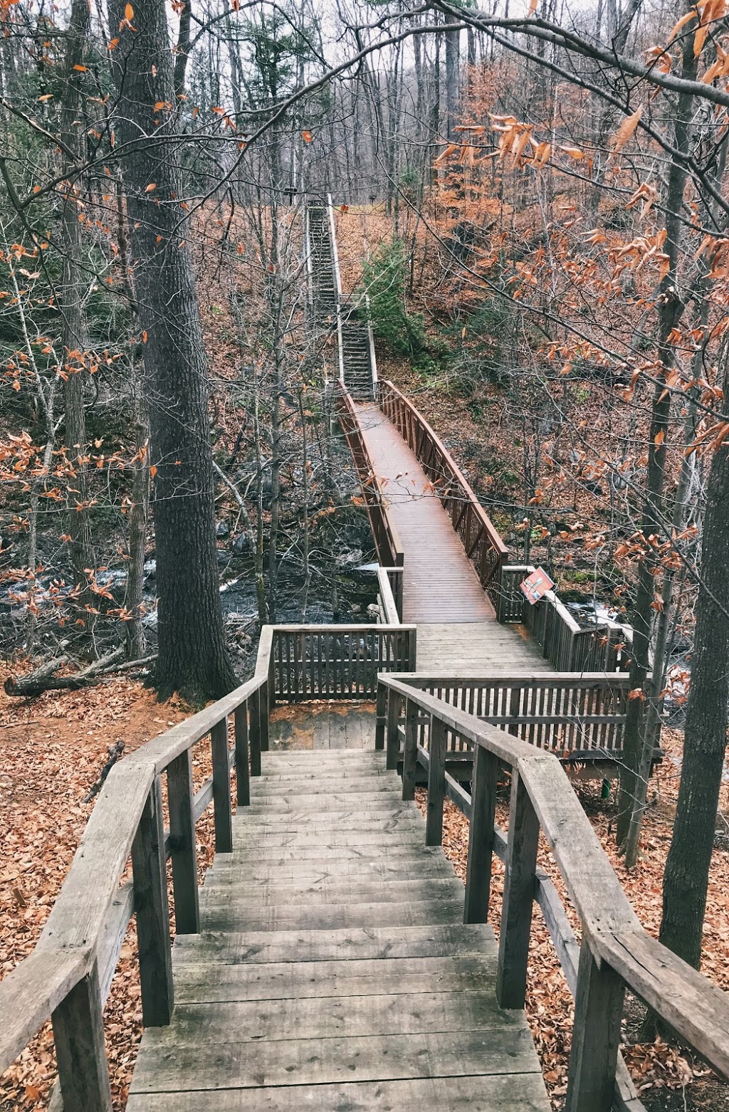 Old Chelsea Picnic Area | 15 Chemin Kingsmere, Chelsea, QC J9B 1G8, Canada | Phone: (613) 239-5678