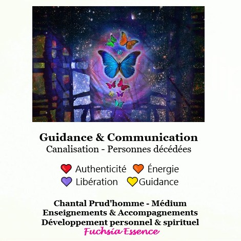 Fuchsia Essence | 1495 Rue de la Cascatelle, Sainte-Adèle, QC J8B 1X9, Canada | Phone: (438) 978-5858