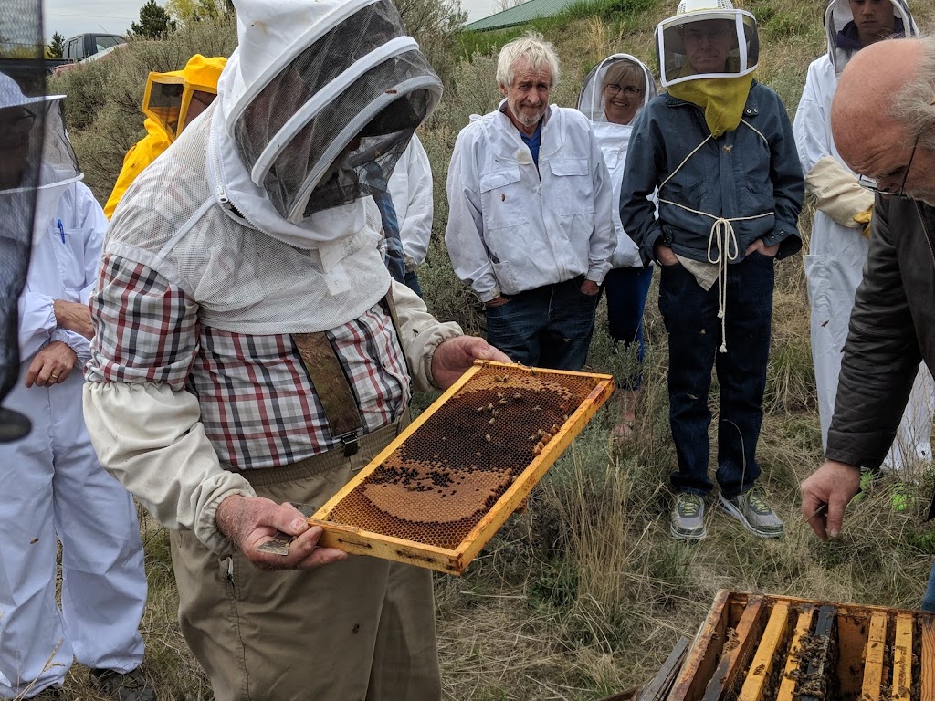 Lomonds Ashcroft Honey | Thompson River Estates, 1559 Steelhead Rd, Savona, BC V0K 2J0, Canada | Phone: (250) 457-7193