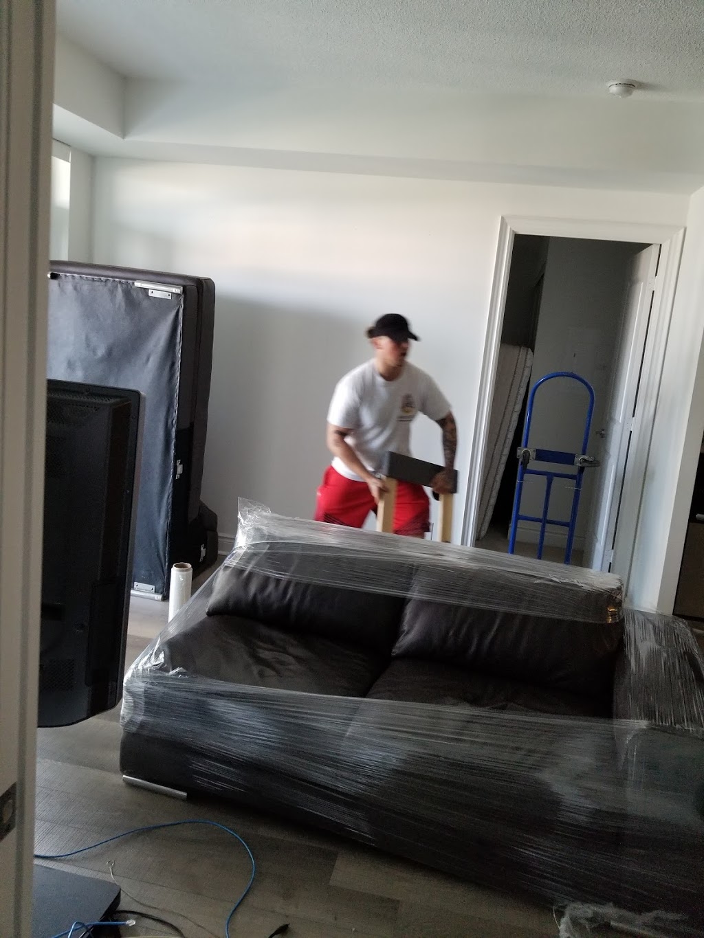 Zebra Movers Mississauga | 902 Runningbrook Dr, Mississauga, ON L4Y 2S5, Canada | Phone: (905) 848-3370
