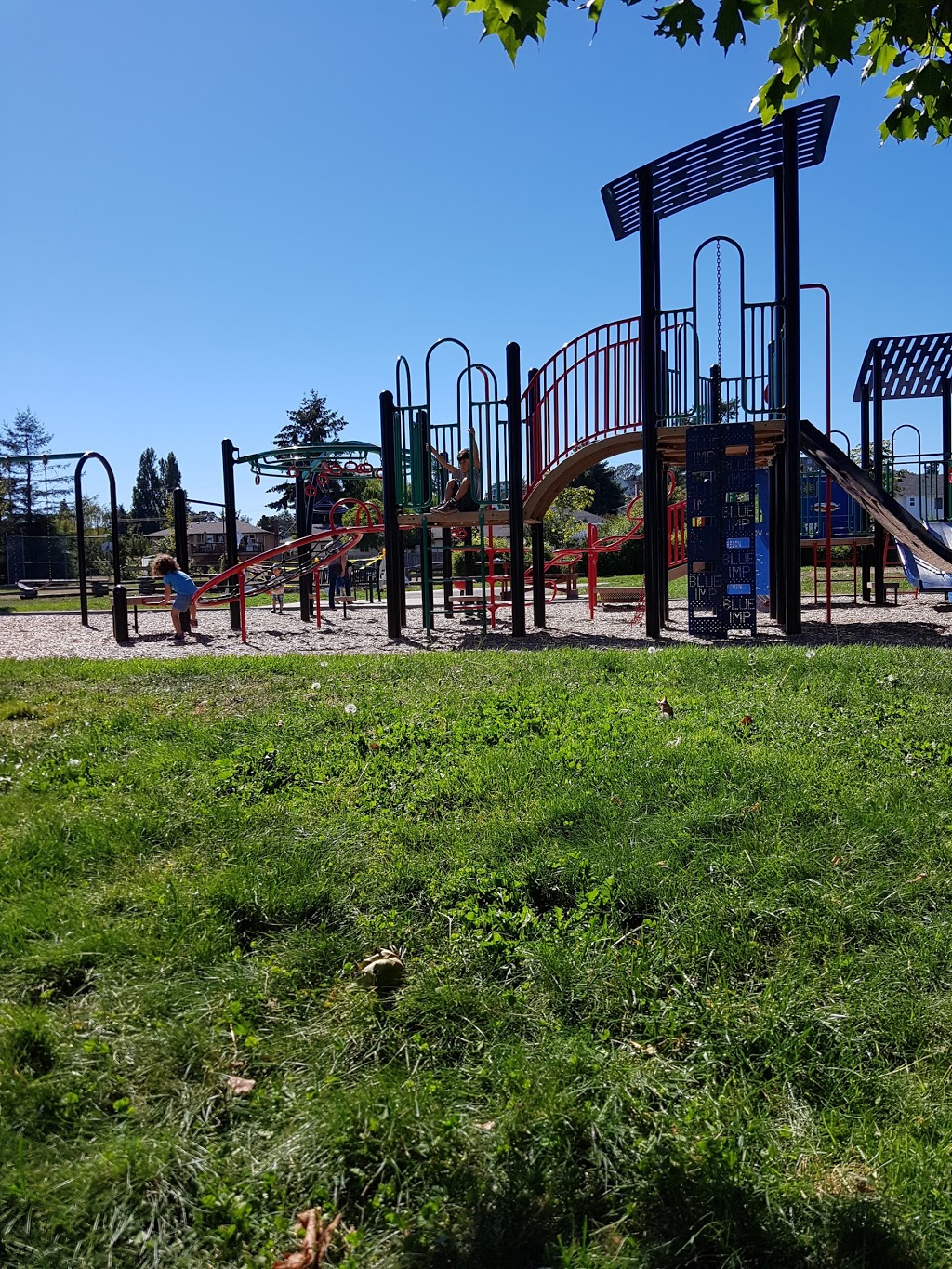 Oswald Park | 3031 Cedar Hill Rd, Victoria, BC V8T 3J2, Canada | Phone: (250) 361-0600