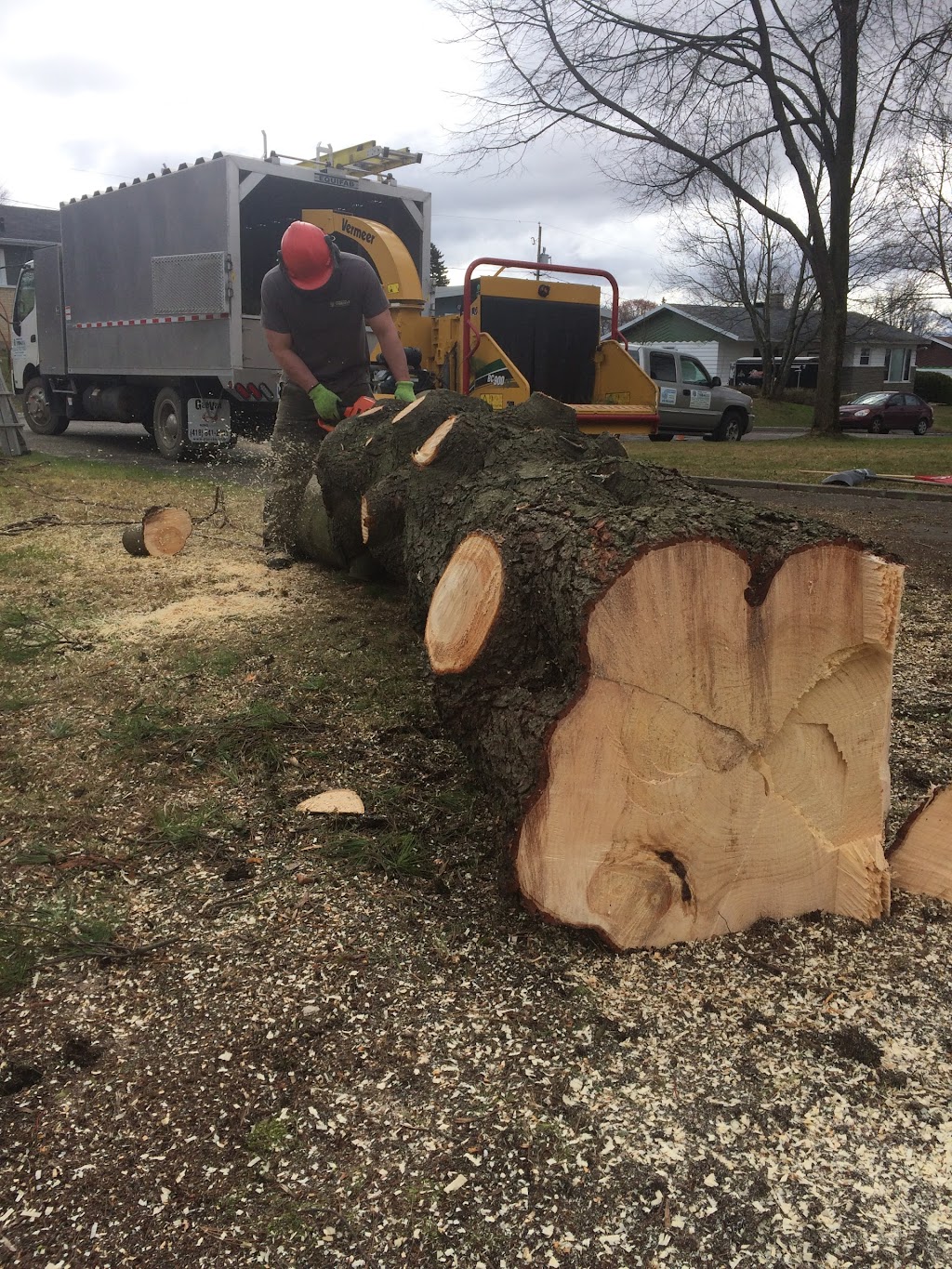 Arboriculture Thibault Inc. | 2994 Rte de lAéroport, Québec, QC G3K 1B3, Canada | Phone: (418) 657-0862