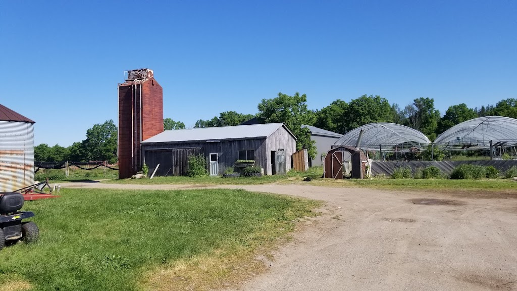 McSmiths Organic Farm | 42828 Shorlea Line, St Thomas, ON N5P 3T1, Canada | Phone: (519) 631-0279