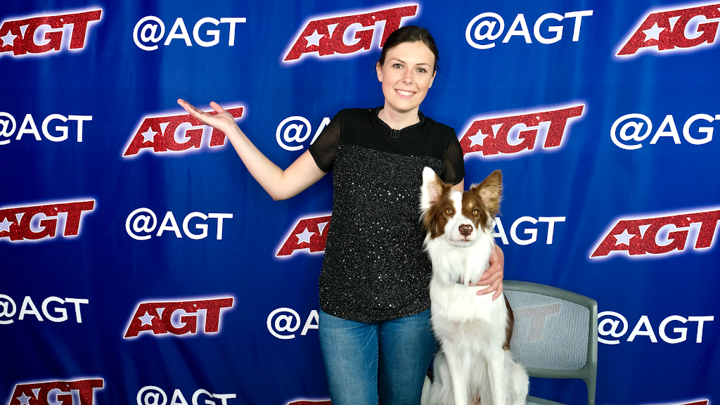 Alexandra Côté, entrainement canin | 3755 Chem. de lAéroport, Thetford Mines, QC G6G 5R7, Canada | Phone: (418) 334-9974
