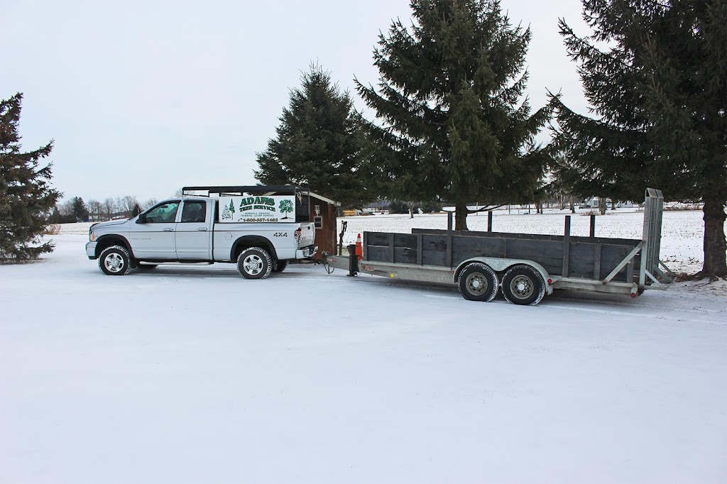 Adams Tree Service Ltd. | 813126 Base Line, Norwich, ON N0J 1P0, Canada | Phone: (519) 536-6865