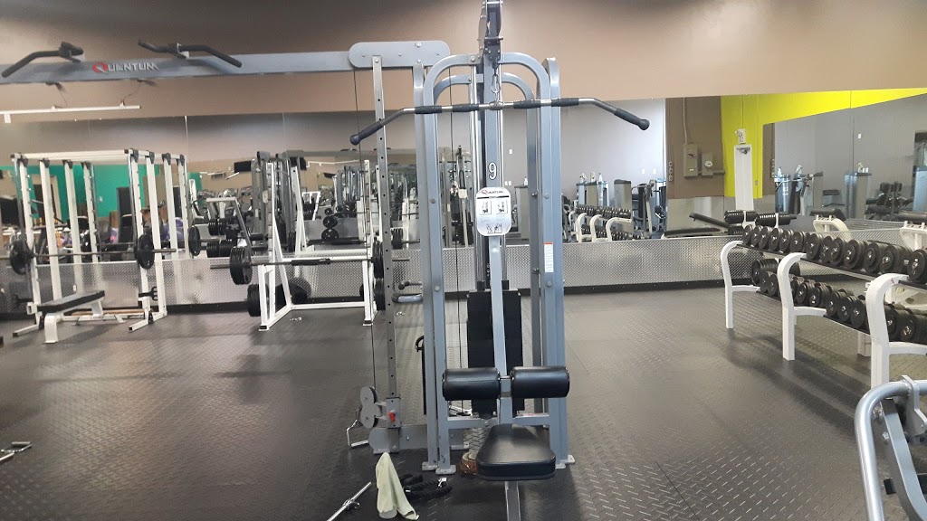 South Huron Fitness | 190 Thames Rd E, Exeter, ON N0M 1S3, Canada | Phone: (519) 235-4555