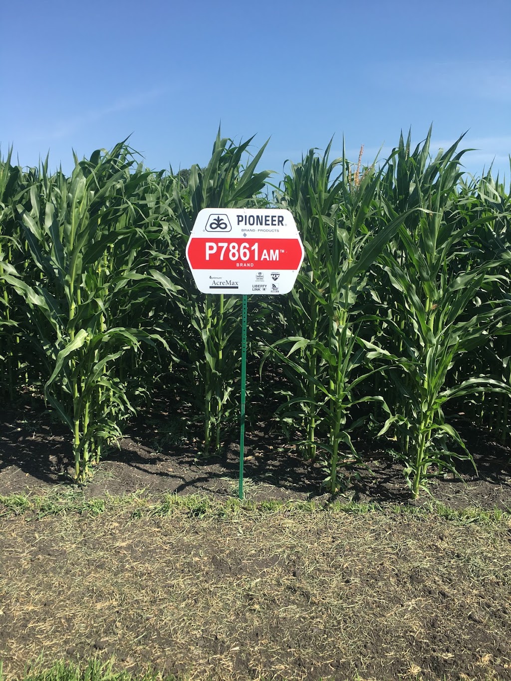 Floyd Seed & Oat Processors | 25 23-1E, Arborg, MB R0C 0A0, Canada | Phone: (204) 364-2308