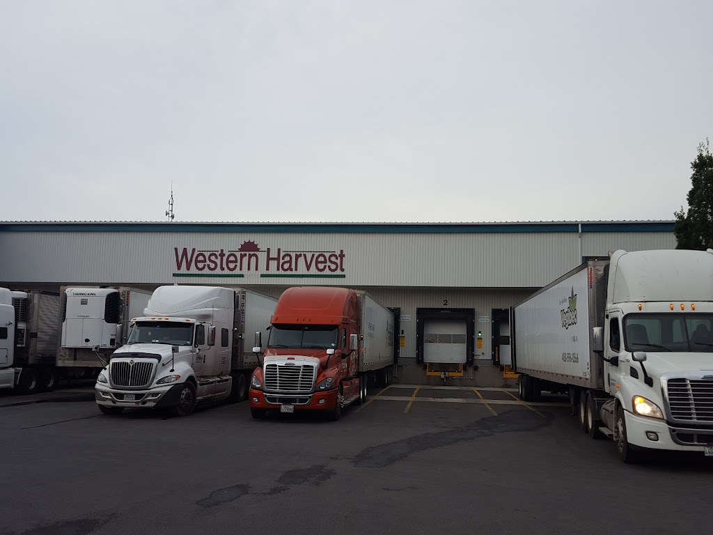 Western Harvest Inc | 1911 Chem. de la Rivière, Sainte-Clotilde-de-Châteauguay, QC J0L 1W0, Canada | Phone: (450) 826-2000