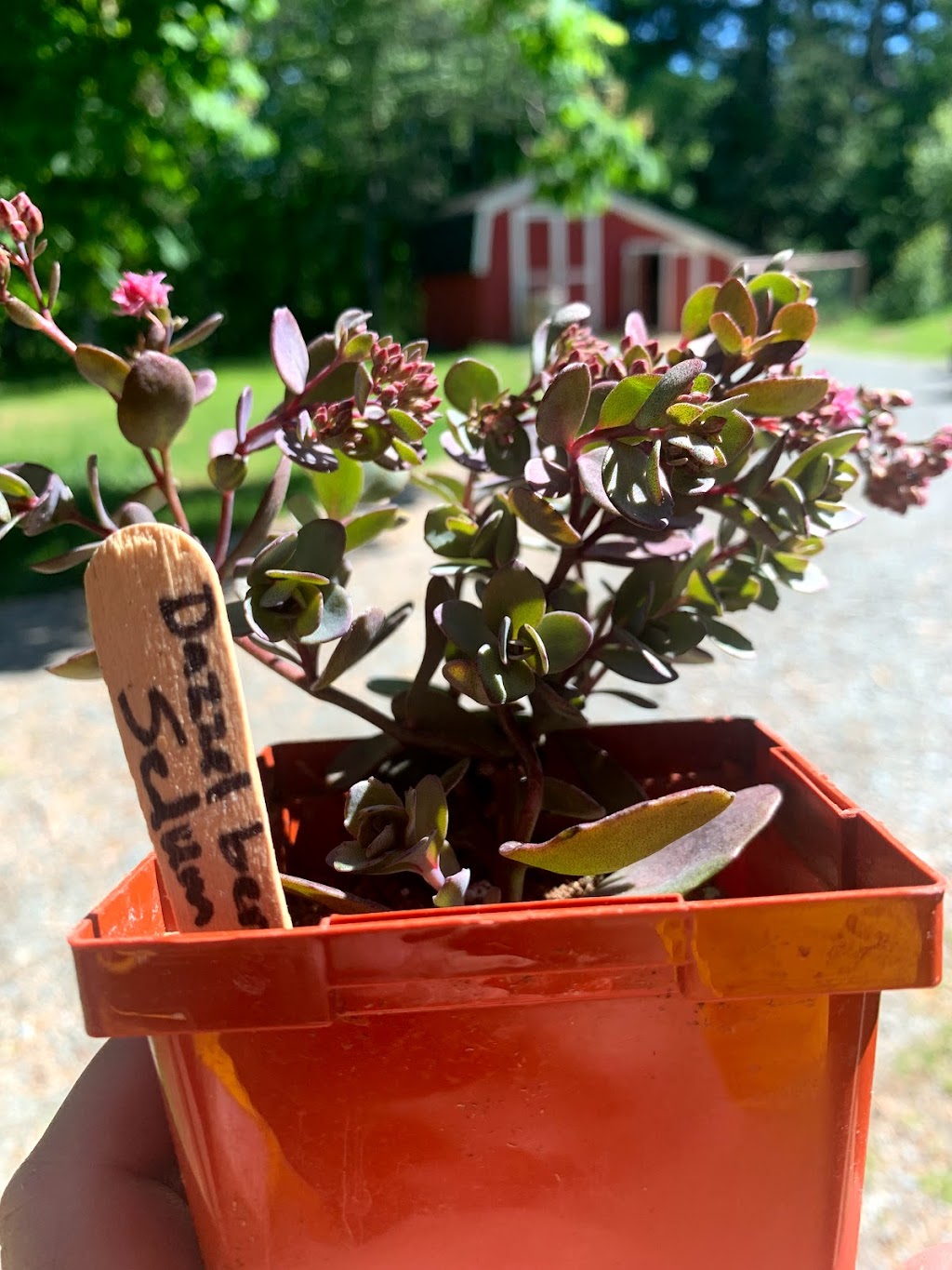 Fundy Farms: Local Harvest | 3578 NB-114, Edgetts Landing, NB E4H 2G9, Canada | Phone: (506) 851-9911