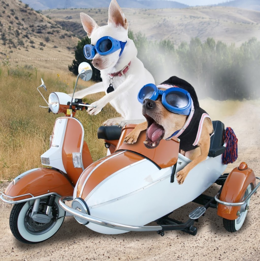 Ruffins Pet Centre Georgetown | 140 Guelph St, Georgetown, ON L7G 4A5, Canada | Phone: (905) 873-0933