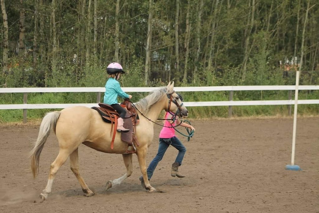 Paradise Acres Ranch | 26212 Township Rd 552, Sturgeon County, AB T8R 2E1, Canada | Phone: (780) 805-6073