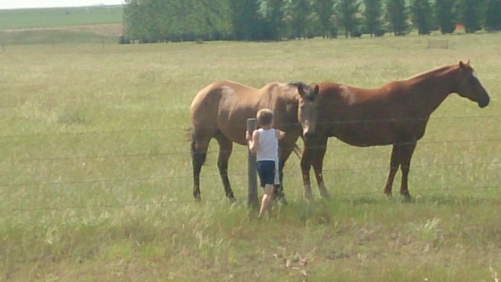 Hitchcocks Hideaway | Lake Diefenbaker, Birsay, SK S0L 0G0, Canada | Phone: (306) 573-4446