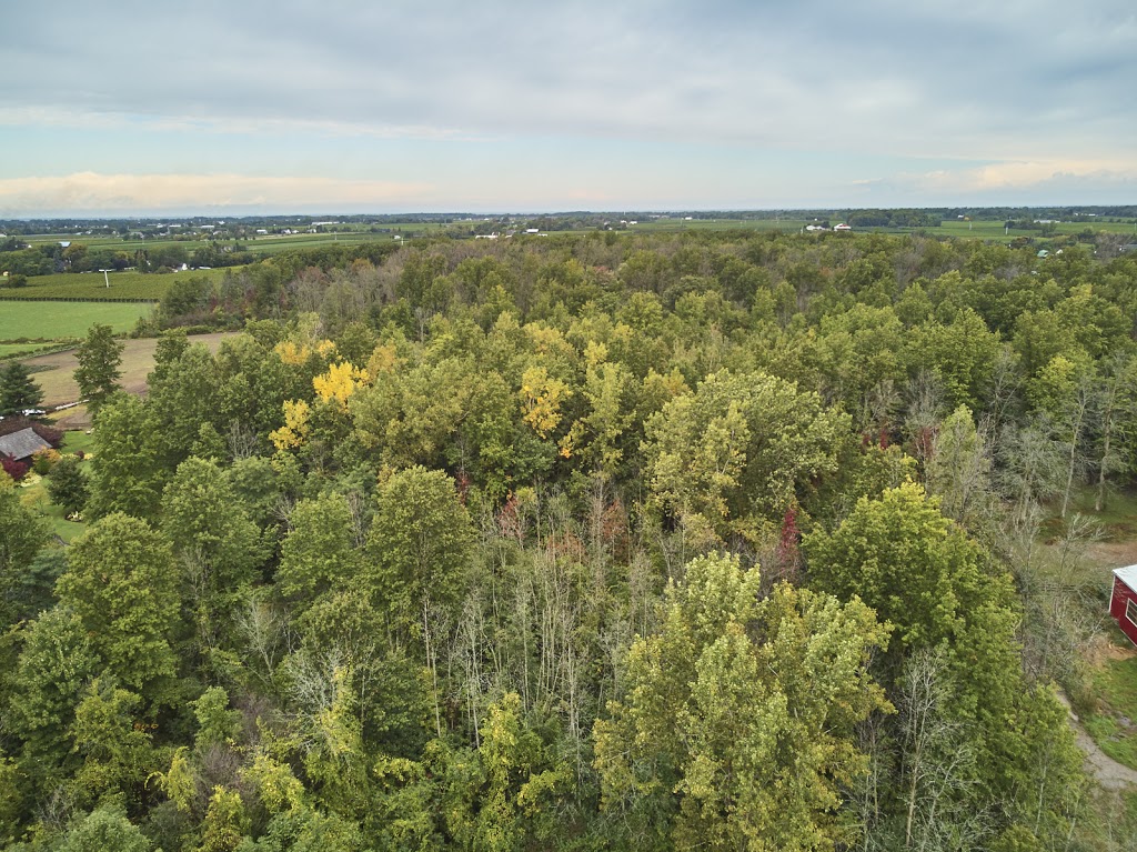 Jennifer Huang Real Estate | 33 Maywood Ave Unit 1, St. Catharines, ON L2R 1C5, Canada | Phone: (905) 325-3838