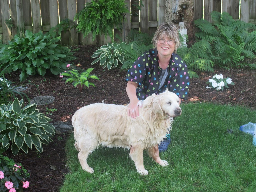 Short n Sweet Pet Grooming | 379 Prince of Wales Dr, Whitby, ON L1N 6M8, Canada | Phone: (289) 685-3364