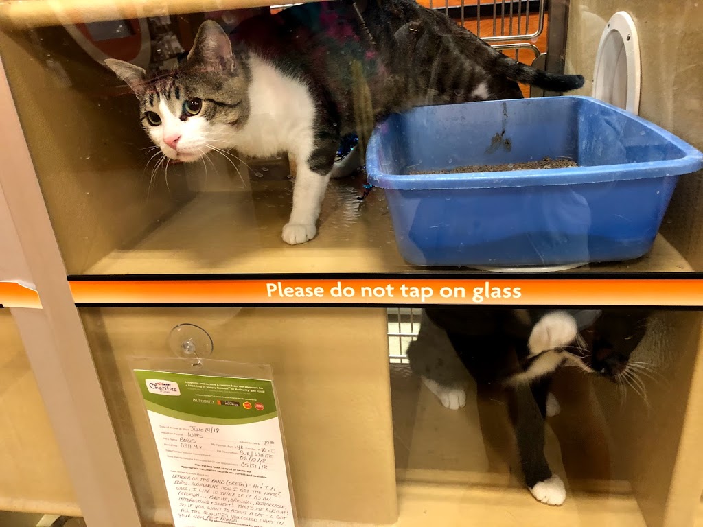 PetSmart | 1050 Leila Ave Unit 1, Winnipeg, MB R2P 1W6, Canada | Phone: (204) 633-3793