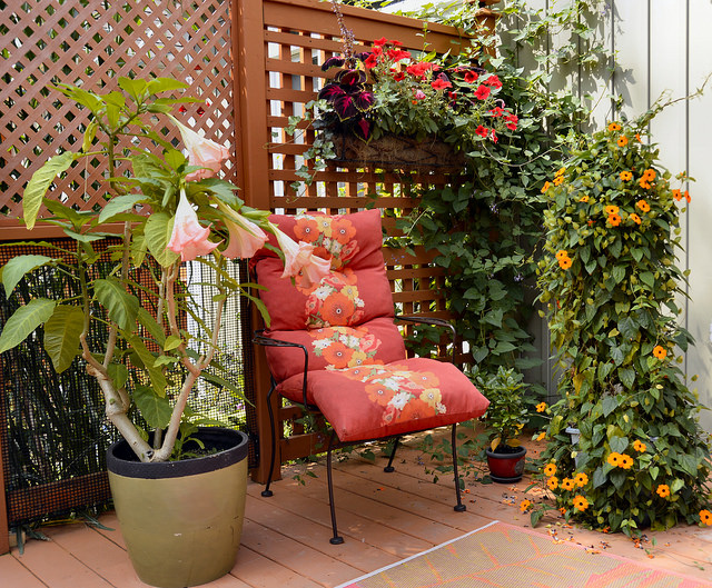Yellow Door Bed and Breakfast | 254 Elmwood Ave, Crystal Beach, ON L0S 1B0, Canada | Phone: (289) 377-8409