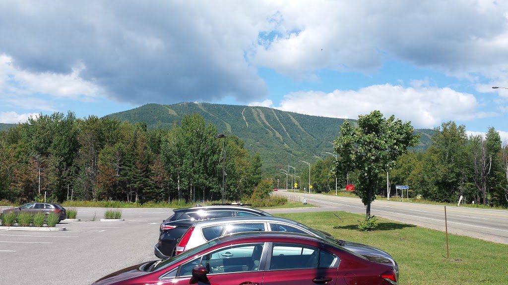 Petro-Canada | 250 Boulevard du Beau Pré, Beaupré, QC G0A 1E0, Canada | Phone: (418) 827-8823