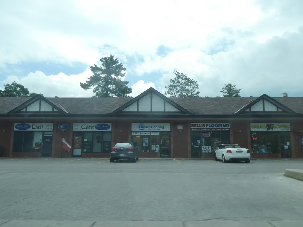 Beach Hearing | 1441 Mosley St #4, Wasaga Beach, ON L9Z 2S4, Canada | Phone: (705) 352-3200