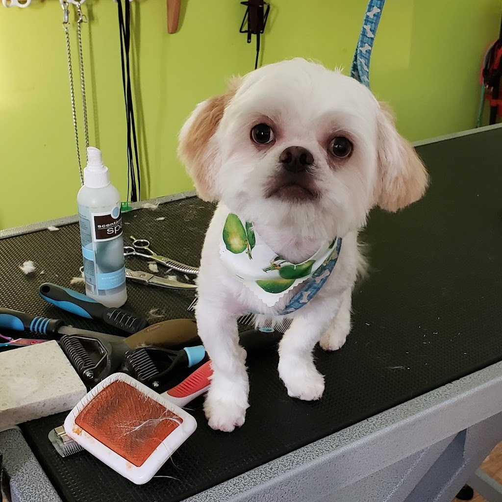 Yuppy Puppy Spa | 78 Barnstone Dr, Markham, ON L6E 0L9, Canada | Phone: (647) 886-6312