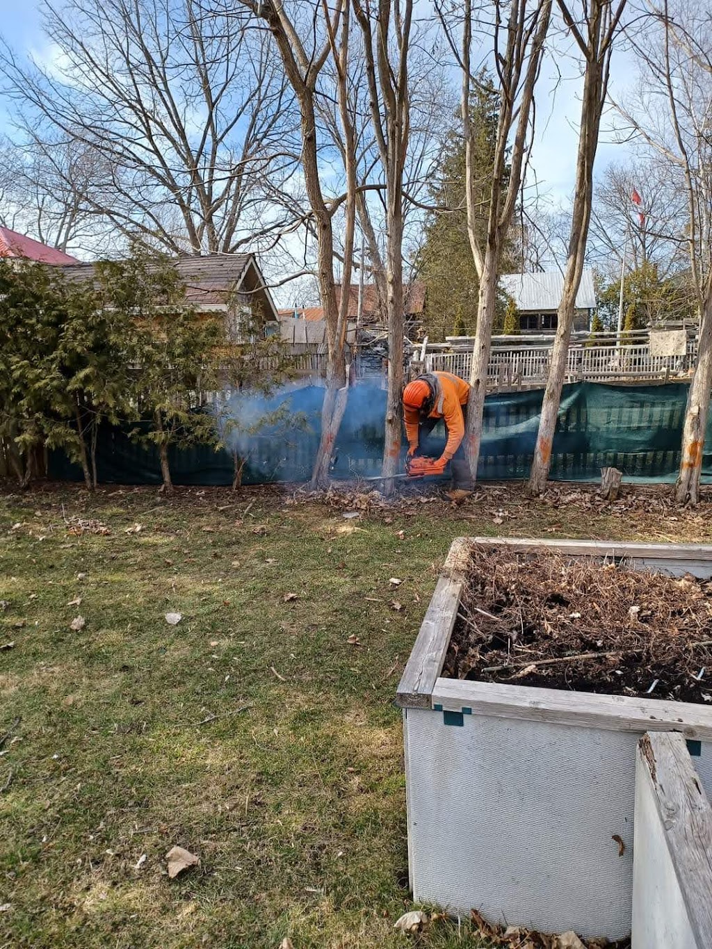 BOSSDAWG TREE REMOVAL | 120 ON-49, Deseronto, ON K0K 1X0, Canada | Phone: (613) 693-1330