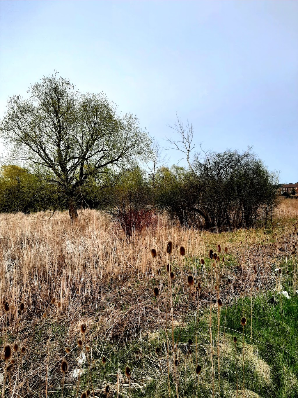 Heatherglen Valley | Brampton, ON L6Y 0B7, Canada | Phone: (905) 874-2000