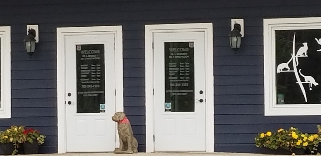 Georgian Bay Veterinary Hospital & Mobile Services | 2 Concession Rd 9 E, Tiny, ON L0L 2J0, Canada | Phone: (705) 245-1353