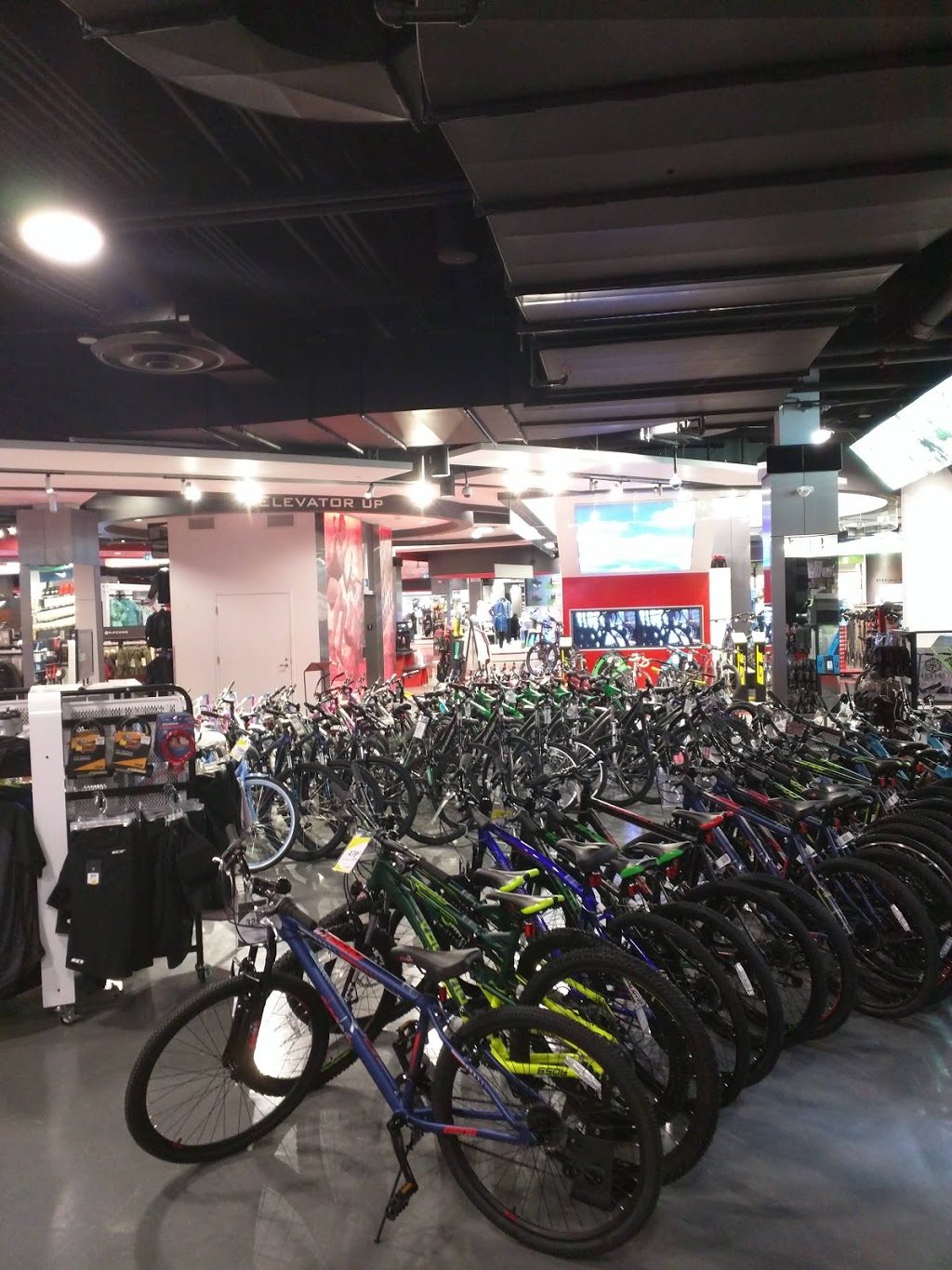 bike sportchek