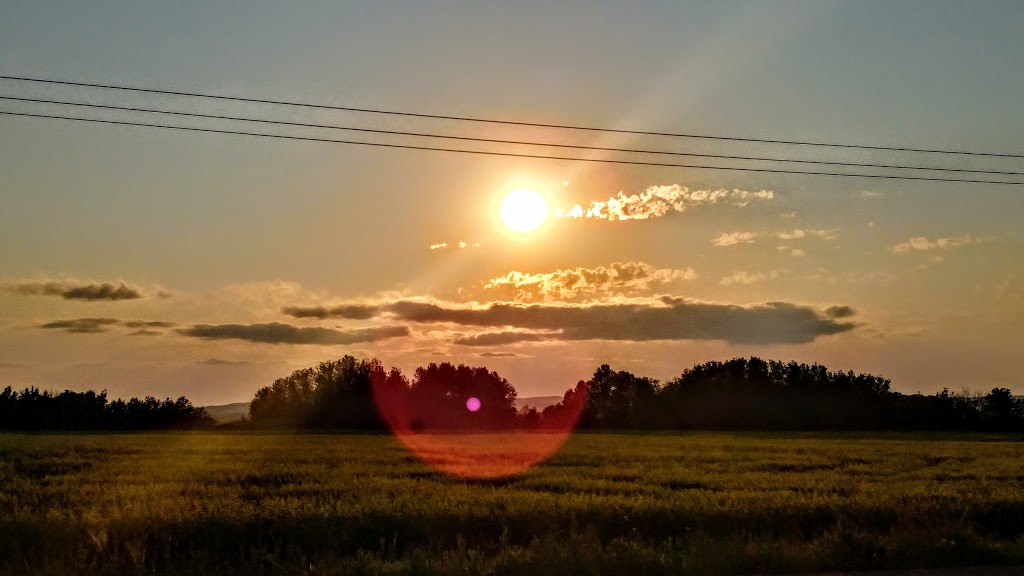 Shell | 41 SK-41, Wakaw, SK S0K 4P0, Canada | Phone: (306) 233-5551