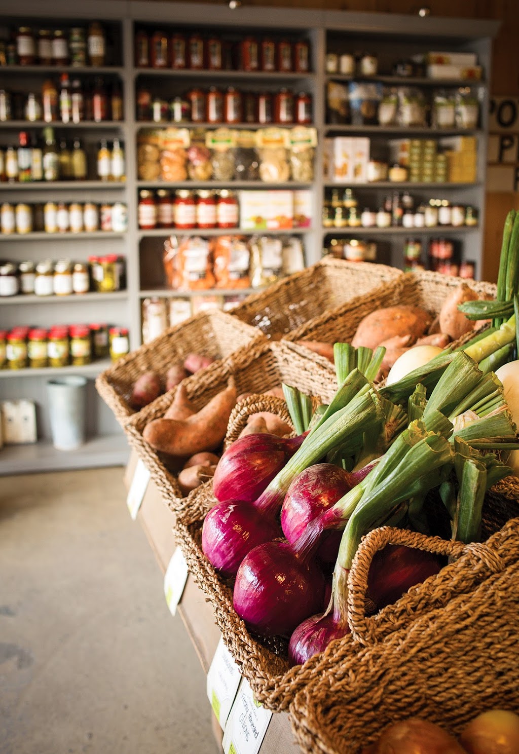 Curries Farm Market | 736 Sixth St, Collingwood, ON L9Y 3Y9, Canada | Phone: (705) 445-2005