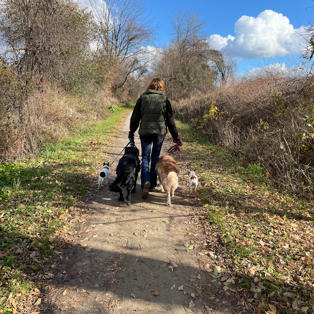 For Pup Sake Dog Training | 622 Hwy 52 N, Lynden, ON L0R 1T0, Canada | Phone: (289) 244-4432