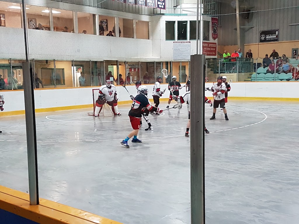 Wallaceburg Memorial Arena | 600 Wall St, Wallaceburg, ON N8A 3H9, Canada | Phone: (519) 627-1607