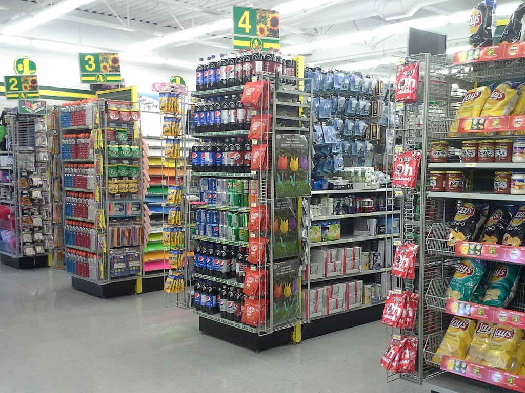 Dollarama | Stoneridge Mall, 401 Ottawa St, Almonte, ON K0A 1A0, Canada | Phone: (613) 256-7491