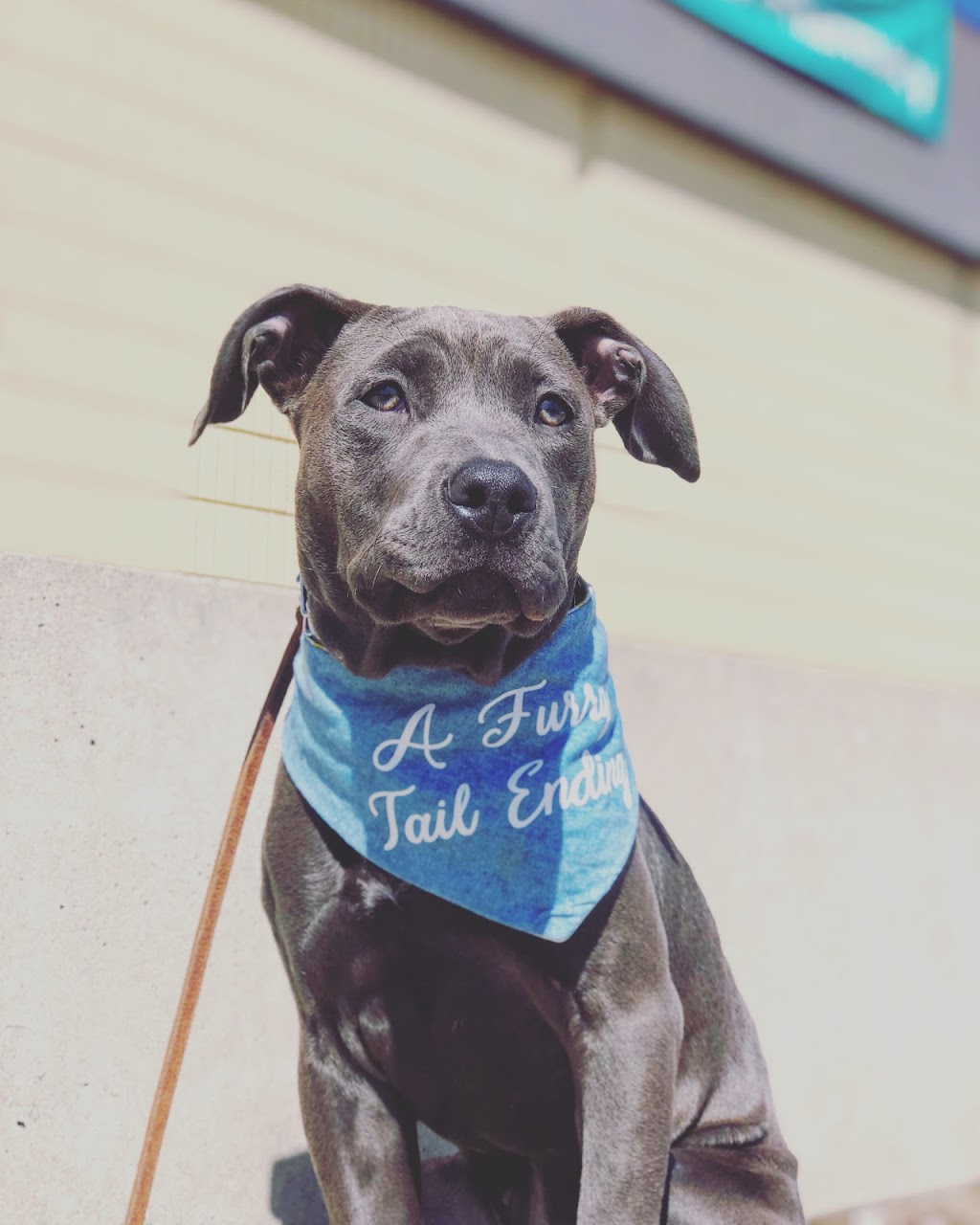 Prairieburn K9 Academy | 515 2 St NE, Altona, MB R0G 0B1, Canada | Phone: (204) 304-9229