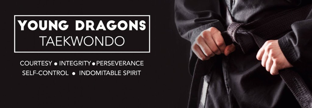 Young Dragons Taekwondo | 1295 Williams Pkwy, Brampton, ON L6S 3J8, Canada | Phone: (905) 601-8923