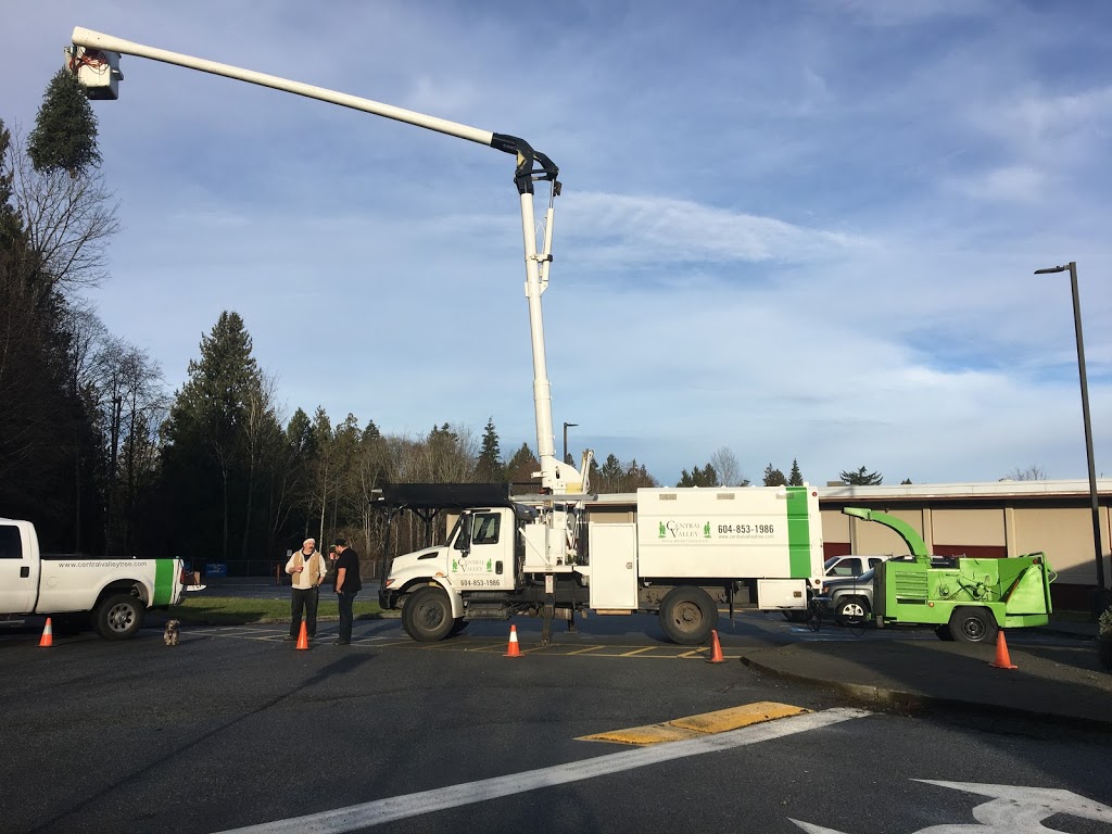Central Valley Tree & Arborist Services LTD. | 933 Coutts Way, Abbotsford, BC V2S 7M2, Canada | Phone: (604) 853-1986