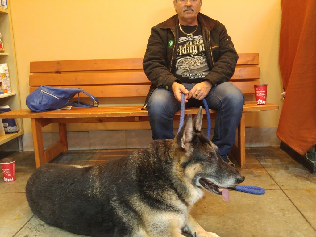 Victoria Road Animal Hospital | 222 Victoria Rd S, Guelph, ON N1E 5R1, Canada | Phone: (519) 763-9990
