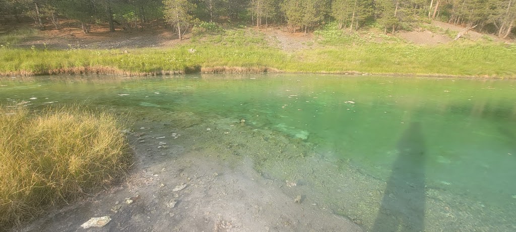 Sulphur Springs | East Kootenay A, BC V0B 1H0, Canada | Phone: (250) 865-4015