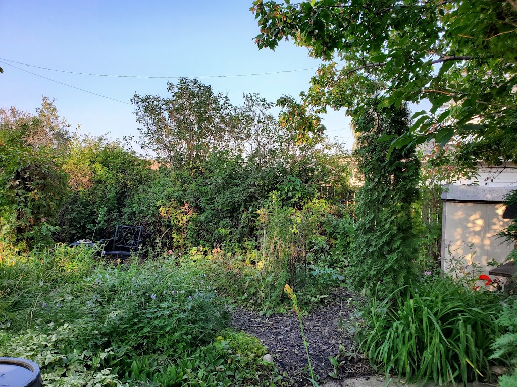 Straw Hats Landscaping Inc. | 821 Morris Ave, Leduc, AB T9E 1E9, Canada | Phone: (416) 272-9246